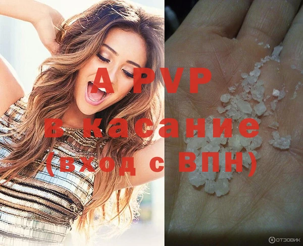 МДПВ Каменка