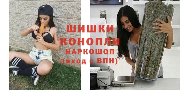 тгк Касимов
