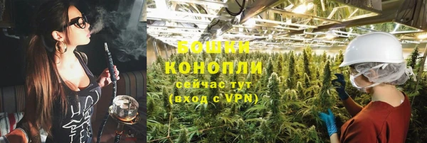 тгк Касимов