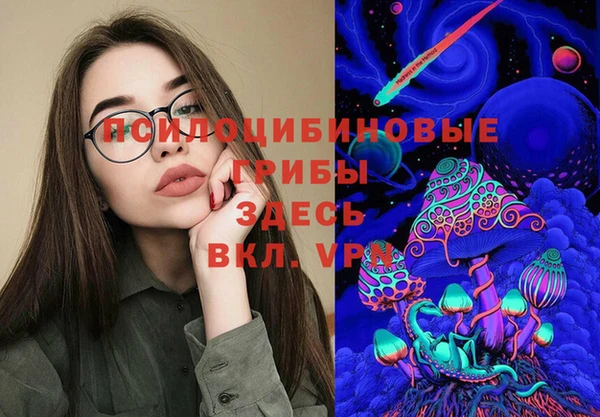 тгк Касимов