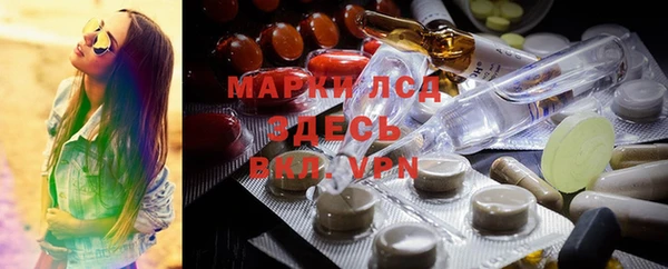 трава Карпинск